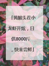 黄陂头茬小龙虾开炫，日供8000斤，快来尝鲜