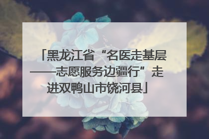 黑龙江省“名医走基层——志愿服务边疆行”走进双鸭山市饶河县