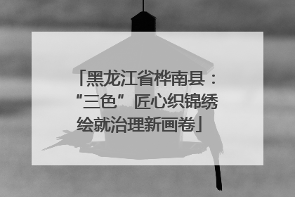 黑龙江省桦南县：“三色”匠心织锦绣 绘就治理新画卷