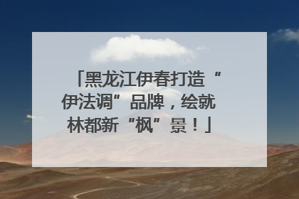 黑龙江伊春打造“伊法调”品牌，绘就林都新“枫”景！