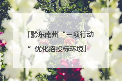黔东南州“三项行动”优化招投标环境