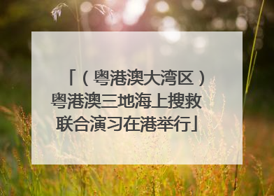（粤港澳大湾区）粤港澳三地海上搜救联合演习在港举行