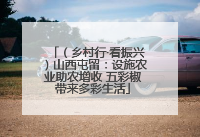（乡村行·看振兴）山西屯留：设施农业助农增收 五彩椒带来多彩生活
