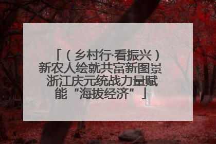 （乡村行·看振兴）新农人绘就共富新图景 浙江庆元统战力量赋能“海拔经济”