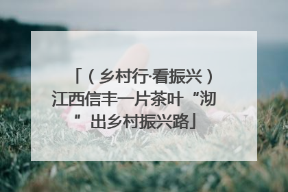 （乡村行·看振兴）江西信丰一片茶叶“沏”出乡村振兴路