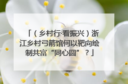 （乡村行·看振兴）浙江乡村弓箭馆何以靶向绘制共富“同心圆”？