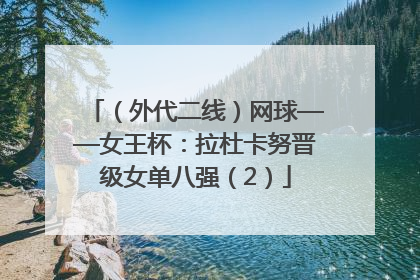 （外代二线）网球——女王杯：拉杜卡努晋级女单八强（2）