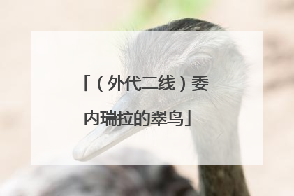 （外代二线）委内瑞拉的翠鸟