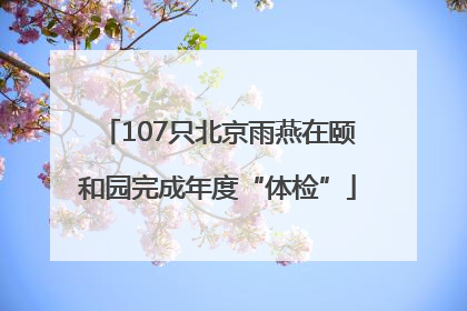 107只北京雨燕在颐和园完成年度“体检”
