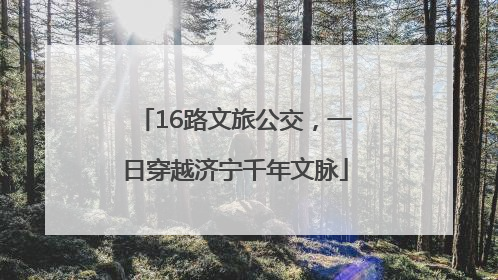 16路文旅公交，一日穿越济宁千年文脉