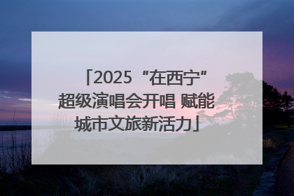 2025“在西宁”超级演唱会开唱 赋能城市文旅新活力