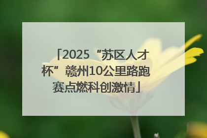2025“苏区人才杯”赣州10公里路跑赛点燃科创激情