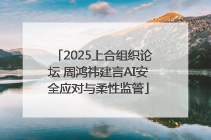 2025上合组织论坛 周鸿祎建言AI安全应对与柔性监管