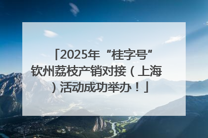 2025年“桂字号”钦州荔枝产销对接（上海）活动成功举办！