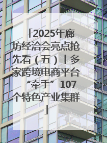 2025年廊坊经洽会亮点抢先看（五）丨多家跨境电商平台“牵手”107个特色产业集群