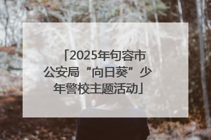2025年句容市公安局“向日葵”少年警校主题活动