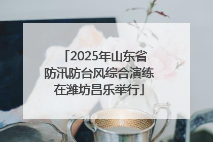 2025年山东省防汛防台风综合演练在潍坊昌乐举行