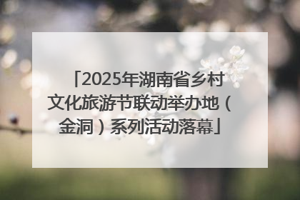 2025年湖南省乡村文化旅游节联动举办地（金洞）系列活动落幕
