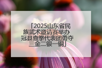 2025山东省民族武术邀请赛举办 冠县查拳代表团勇夺三金二银一铜