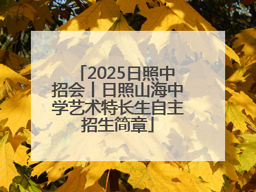 2025日照中招会丨日照山海中学艺术特长生自主招生简章