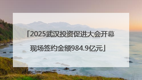 2025武汉投资促进大会开幕 现场签约金额984.9亿元