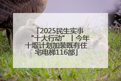 2025民生实事“十大行动”丨今年十堰计划加装既有住宅电梯116部