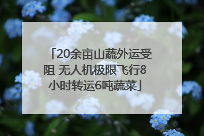 20余亩山蔬外运受阻 无人机极限飞行8小时转运6吨蔬菜