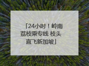 24小时！岭南荔枝乘专线 枝头直飞新加坡