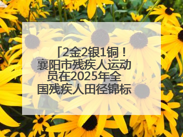 2金2银1铜！襄阳市残疾人运动员在2025年全国残疾人田径锦标赛获佳绩
