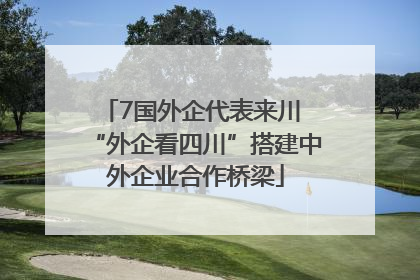 7国外企代表来川 “外企看四川”搭建中外企业合作桥梁