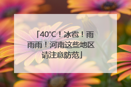 40℃！冰雹！雨雨雨！河南这些地区 请注意防范