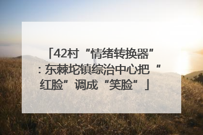 42村“情绪转换器”：东棘坨镇综治中心把“红脸”调成“笑脸”