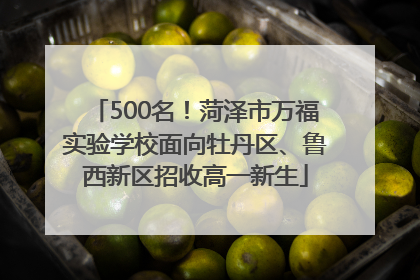 500名！菏泽市万福实验学校面向牡丹区、鲁西新区招收高一新生