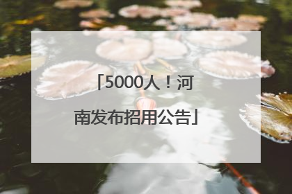 5000人！河南发布招用公告