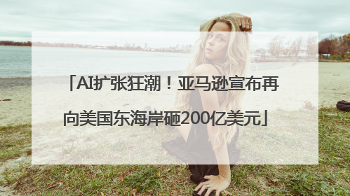 AI扩张狂潮！亚马逊宣布再向美国东海岸砸200亿美元
