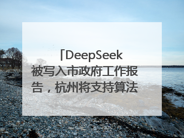 DeepSeek被写入市政府工作报告，杭州将支持算法模型企业发展