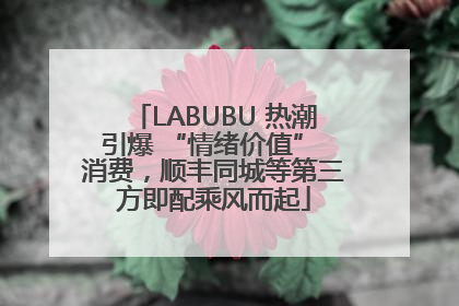 LABUBU 热潮引爆 “情绪价值” 消费，顺丰同城等第三方即配乘风而起