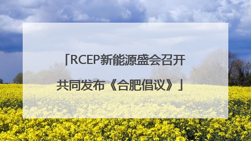 RCEP新能源盛会召开 共同发布《合肥倡议》