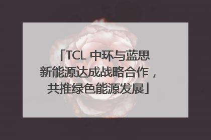 TCL 中环与蓝思新能源达成战略合作，共推绿色能源发展