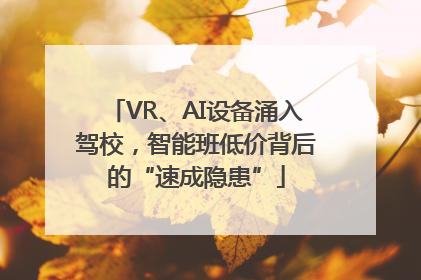 VR、AI设备涌入驾校，智能班低价背后的“速成隐患”